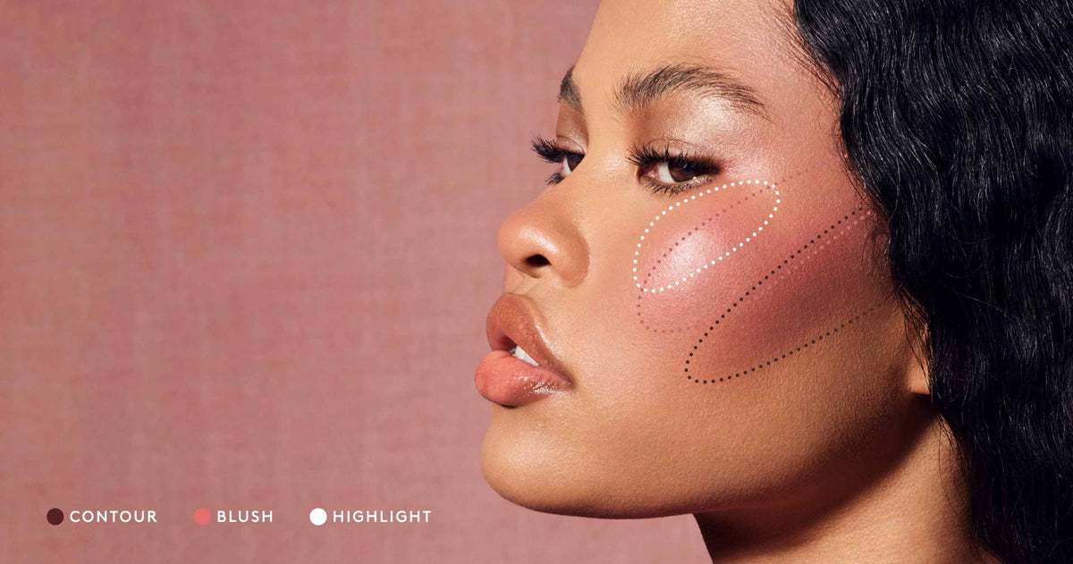 Dotted lines on a model circling contour, blush, and highlight application area.