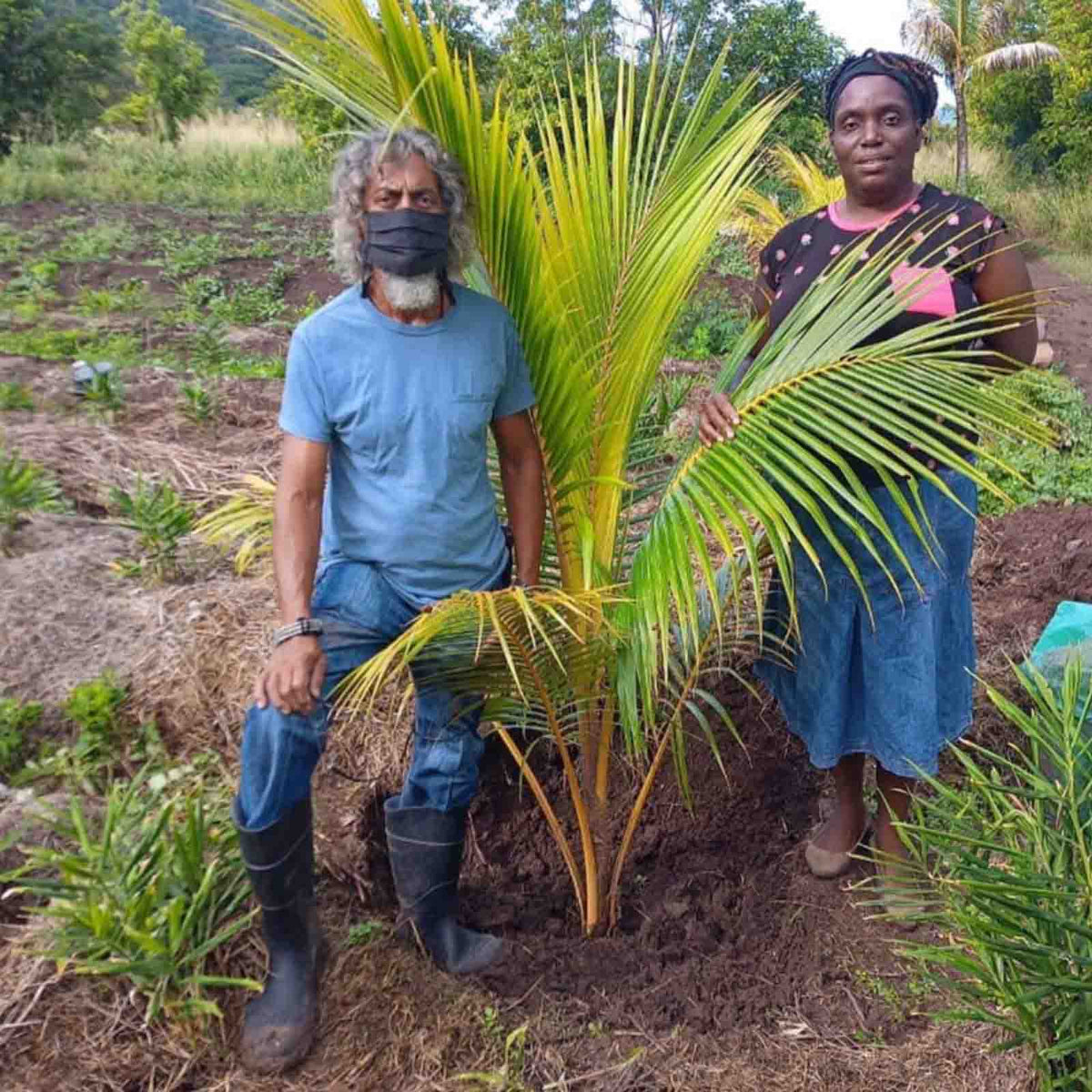CLF partner, Integrated Health Outreach Inc, volunteers in the Caribbean.