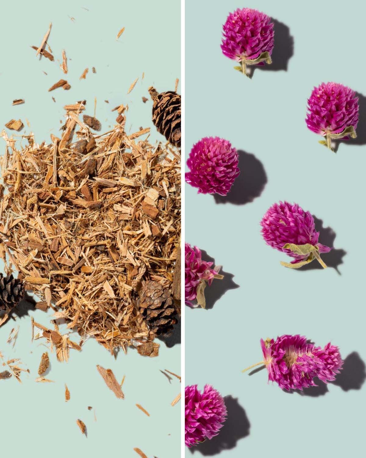 Larchwood Extract + Red Clover Flower Extract