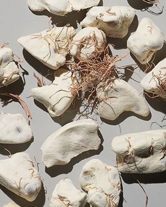 Baobab
